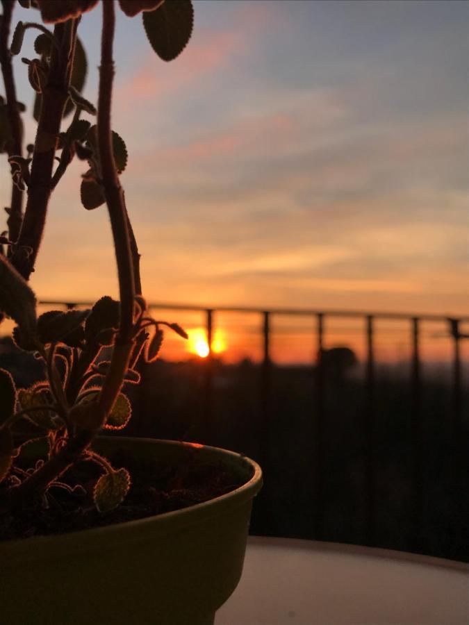 La Terrazza Cori